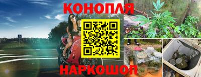 трава Донецк