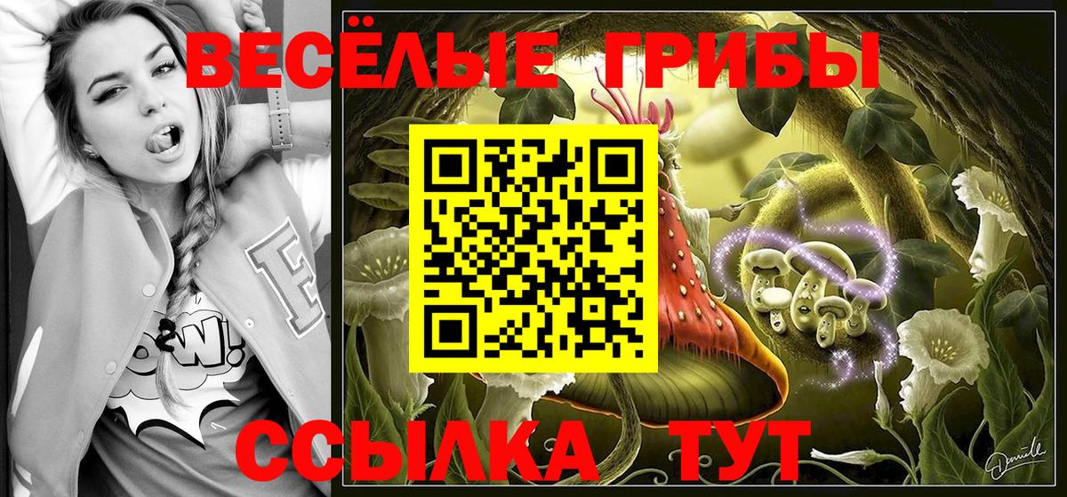 Кулебаки  Псилоцибиновые грибы мицелий  Псилоцибиновые грибы ЛСД  Вход с VPN 